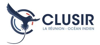 https://clusir-roi.org/